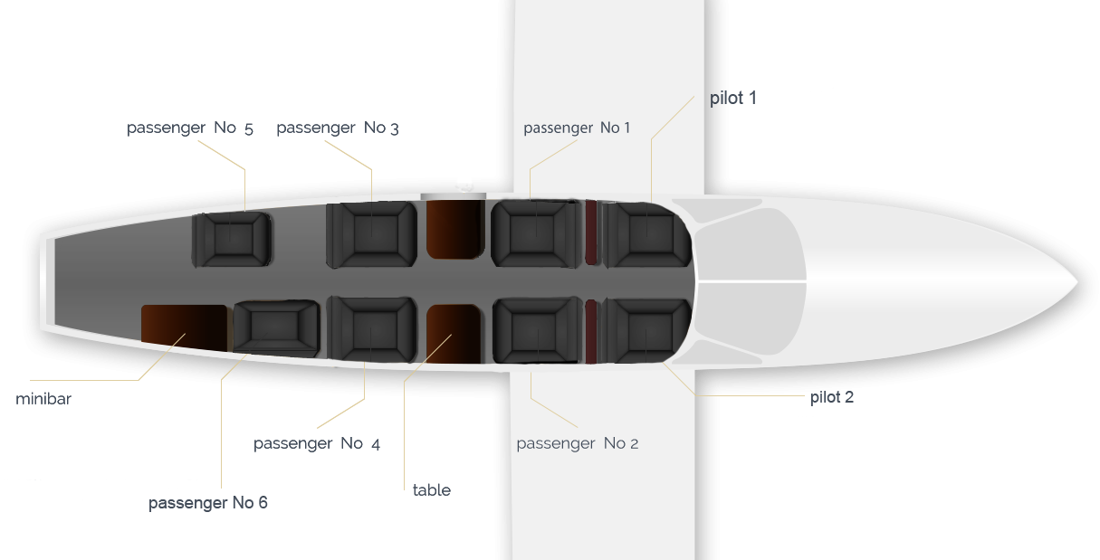 jet privato Cessna 421 Golden Eagle